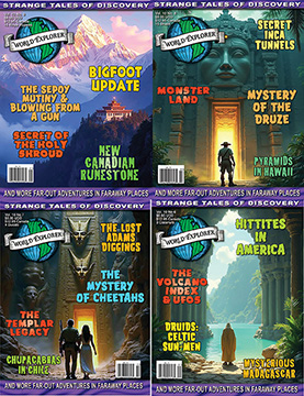 WEX LIFETIME MEMBERSHIP